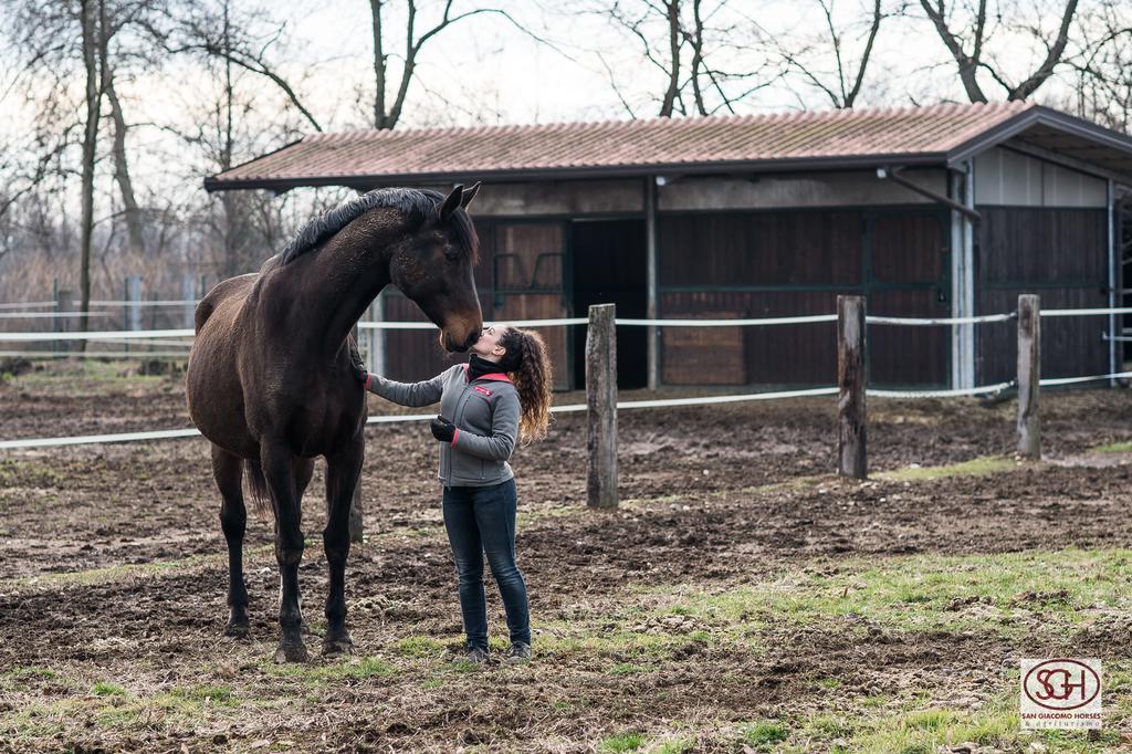 San Giacomo Horses & Agriturismo Arluno Екстериор снимка