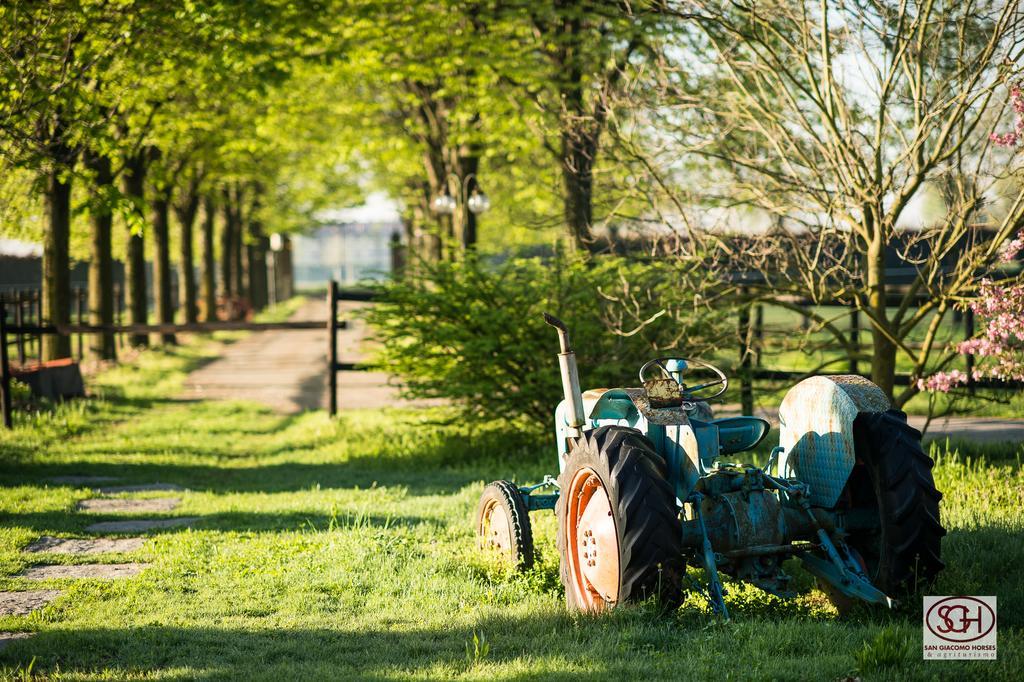 San Giacomo Horses & Agriturismo Arluno Екстериор снимка
