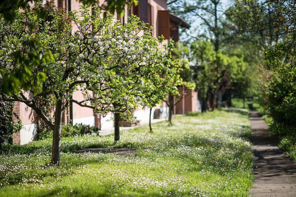 San Giacomo Horses & Agriturismo Arluno Екстериор снимка