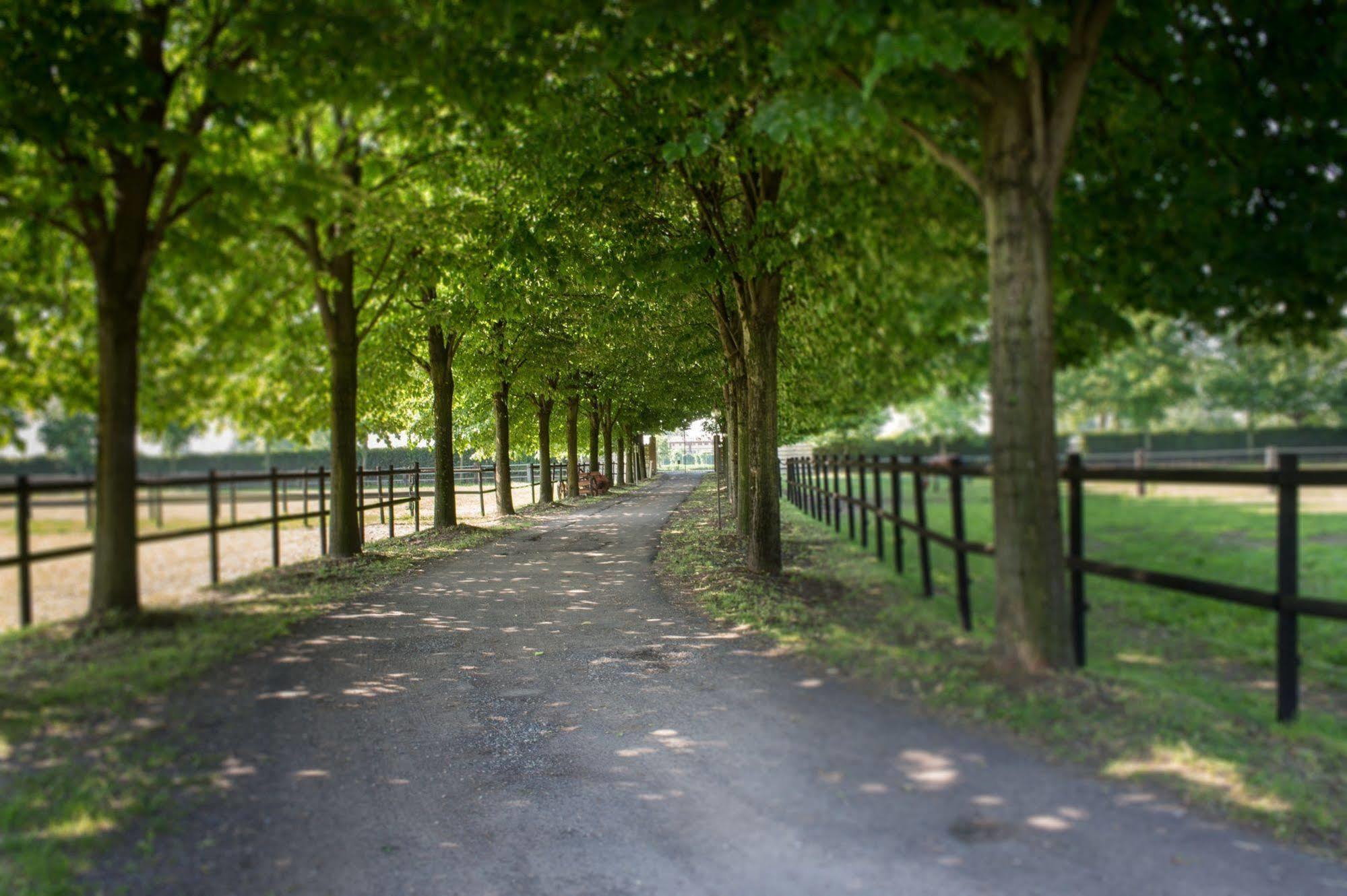 San Giacomo Horses & Agriturismo Arluno Екстериор снимка